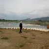 hanhan19676