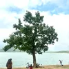 duynguyen11119