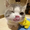 _lthm245