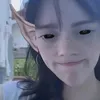 homaldischienaa