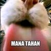 capiyaaafluryyy_