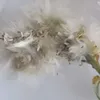 janie_28