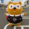 acelqbb