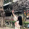 vanh26_01