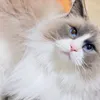 .mm.0000