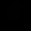 wanghaudz
