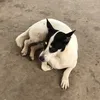 ngochan_931