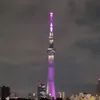 30350874553