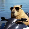 capyboiii_201