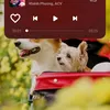 an.nhin51578