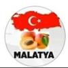 burdayizmalatya