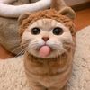 irka.d_d