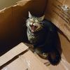 usernamechecksout76