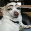 vui_ve_moi_ngay01