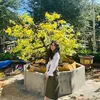 affiliate_mint123