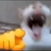 dranoelsenaba