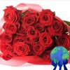 anabianoornoor