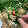 duonganh16029999