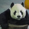 lijung5168