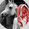 a_12ar