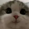 user36740829