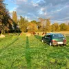 steve_ledijonnais