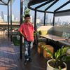 hendrabambang1
