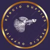 dencio_.guppies1