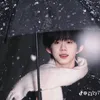chibechengyiheng