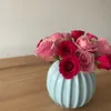 v_liina
