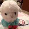 alpacacovet