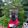 owlaboutmeng