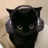 yyongfh