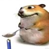 hutpup
