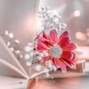 rehana.begum8955