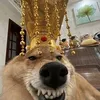 emkhongcao