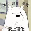 cicistudying