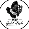 msf_goldfish