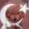 tccengizsoylu