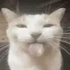 jeeyuhhmy