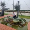 tinh_gia87