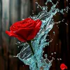 sohailahmad460