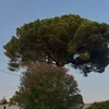 _math_64_65_