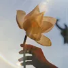 emhocphat
