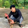 nguyen.the.ha