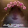 lil_lupu