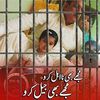 sultansuleman6