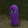 walrus_guy