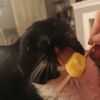 _njoypod