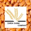 zardaganm.co